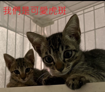 無