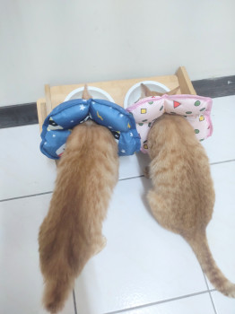 無