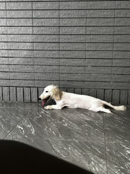 咕唧