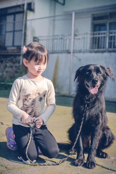 巴克療癒組穩重貼心聰明邊境牧羊犬傑克吉兒