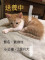 2月大小公貓