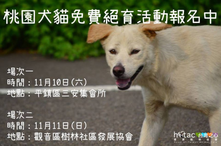 桃園平鎮/觀音－犬貓免費絕育活動！