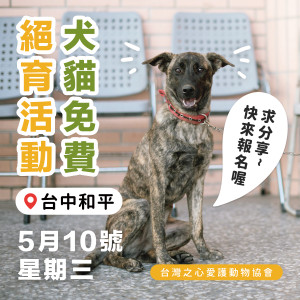 台中市 3月犬貓免費絕育活動